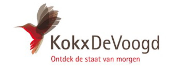 KokxDeVoogd, Het adviesbureau voor de publieke sector